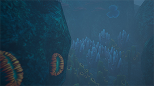 Coral